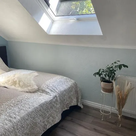 Neue Im Alten Forsthaus *